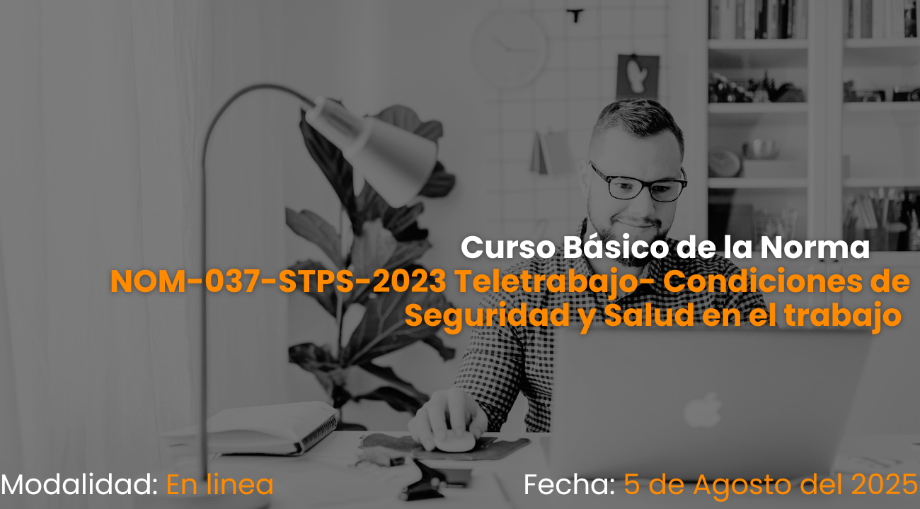 Curso Basico